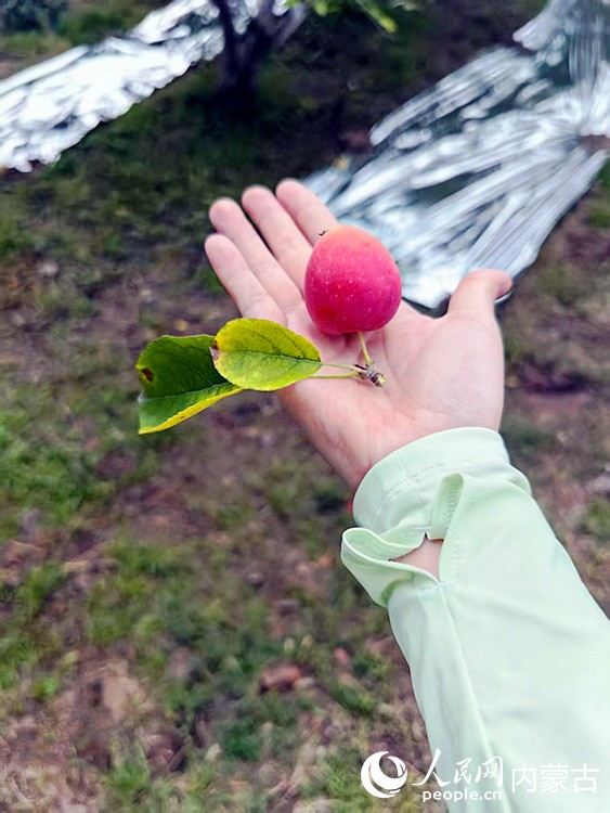 庣ƻĹ 